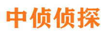 望城市私家侦探